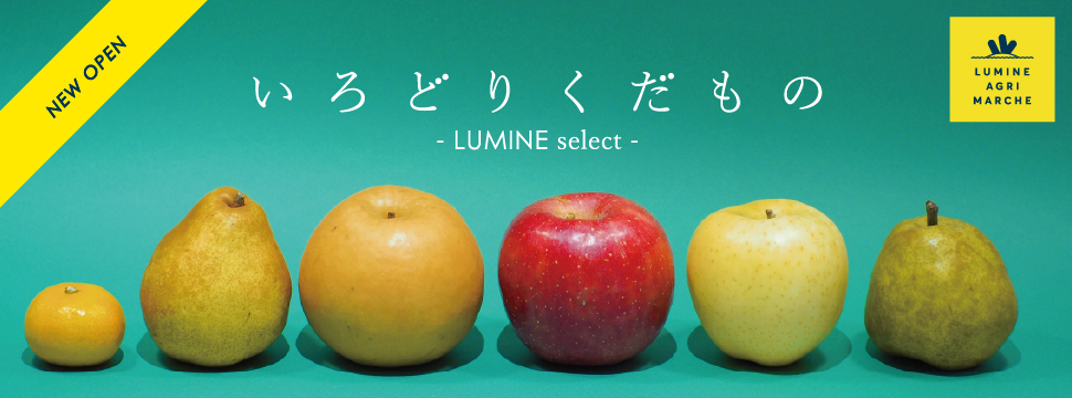 LUMINE AGRI MARCHE