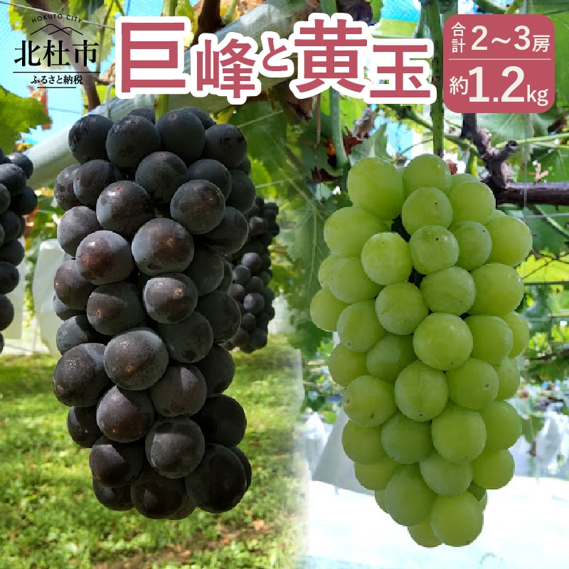  yӂ邳Ɣ[Łz   1.2kg Zbg Hה Ԃǂ RY t[c kmsB 