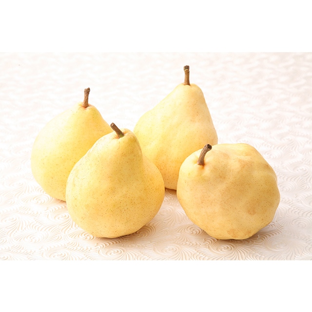 \限定予約品/中村農園 ル レクチエ 3kg(8〜9個)