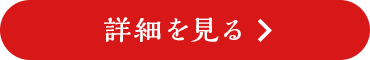 詳細を見る