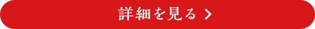 詳細を見る