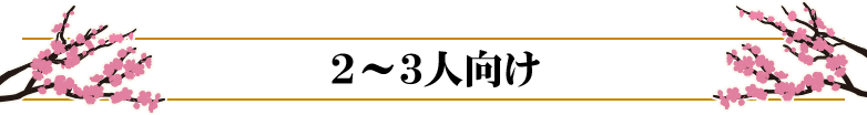 2〜3人向け