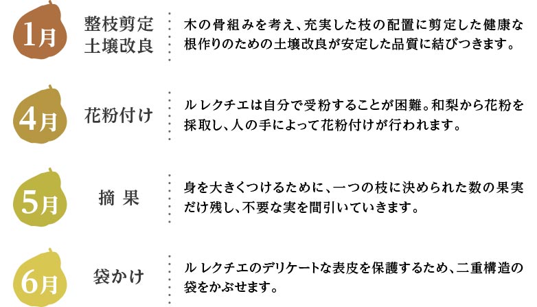 1月、4月、5月、6月の作業工程