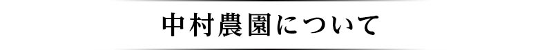 中村農園について