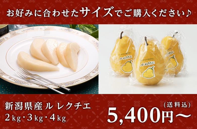 お好みに合わせたサイズでご購入ください