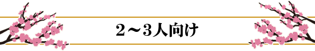 2〜3人向け