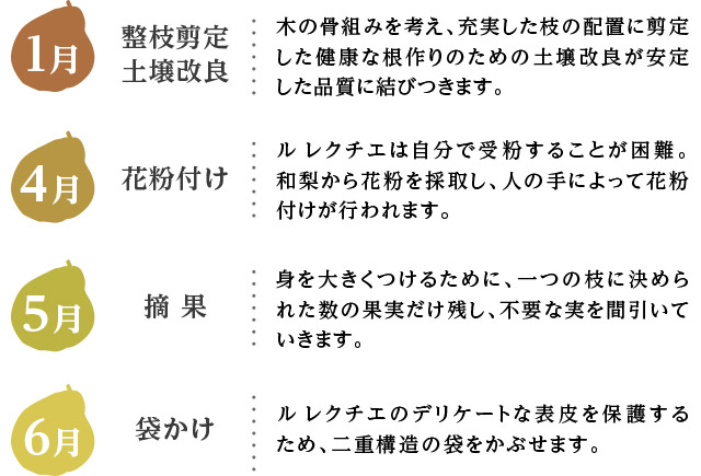 1月、4月、5月、6月の作業工程