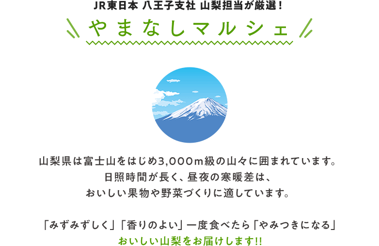 JR東日本 八王子支社　山梨担当が厳選！ やまなしマルシェ 山梨県は富士山をはじめ3,000m級の山々に囲まれています。 日照時間が長く、昼夜の寒暖差は、おいしい果物や野菜づくりに適しています。 「みずみずしく」「香りのよい」一度食べたら「やみつきになる」おいしい山梨をお届けします‼