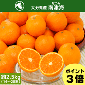 F3�����\�񁄑啪���Y���ÊC� ��2.5kg�i14�`28�ʁj�y�������z