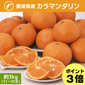 B3�����\�񁄈��Q���Y��J���}���_�������3kg�i21�`30�ʁj�y�������z