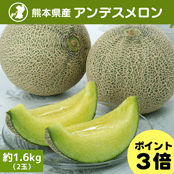 A3�����\�񁄌F�{���Y��A���f�X���������1.6kg�i2�ʁj�y�������z