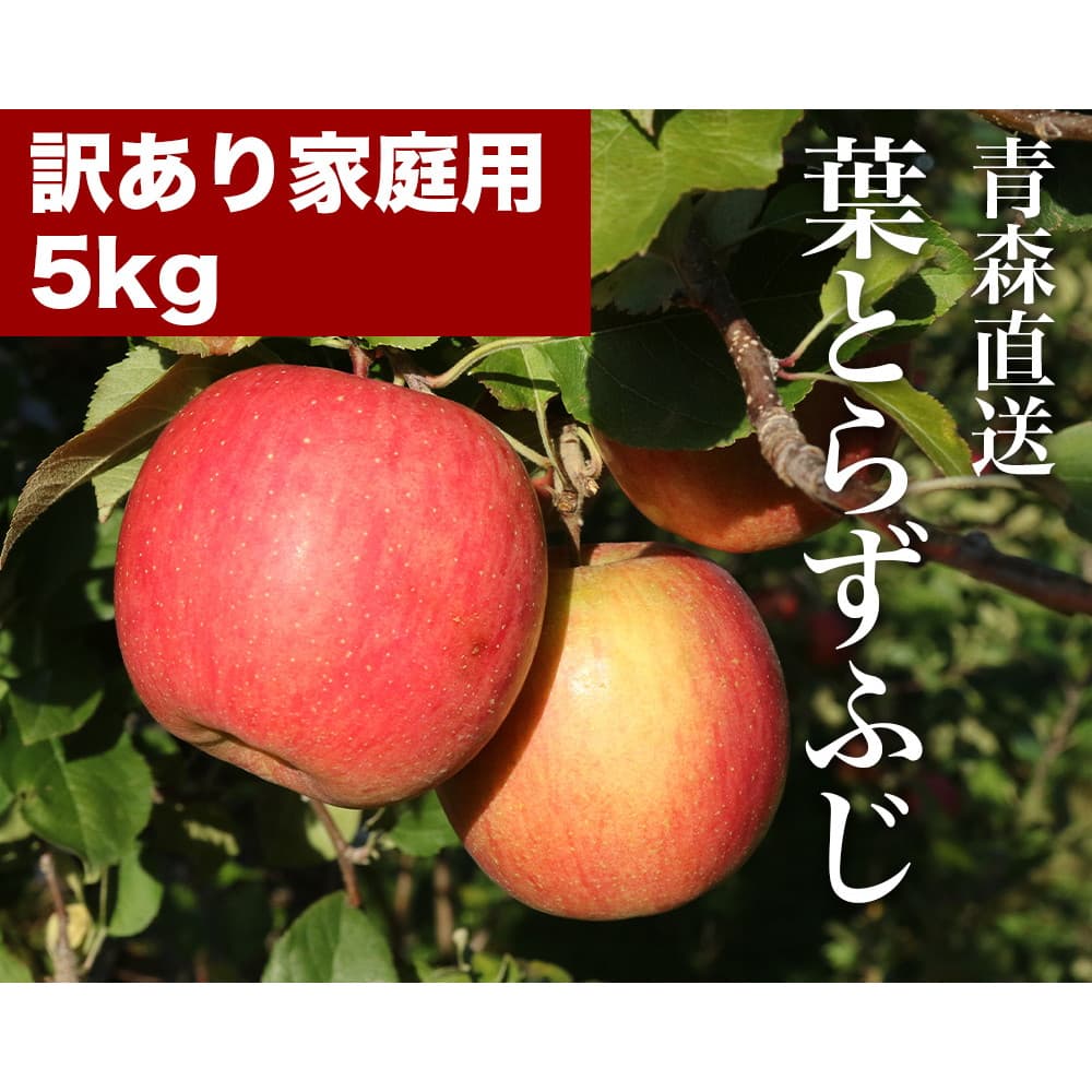  RED APPLE X 12{菇o tƂ炸ӂ 󂠂ƒp 5kg  ь ʕ t[c Mtg {