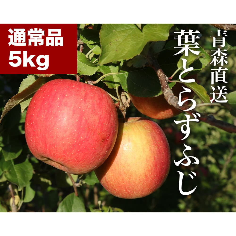  RED APPLE X 12{菇o tƂ炸ӂ 5kg  ь ʕ t[c Mtg {