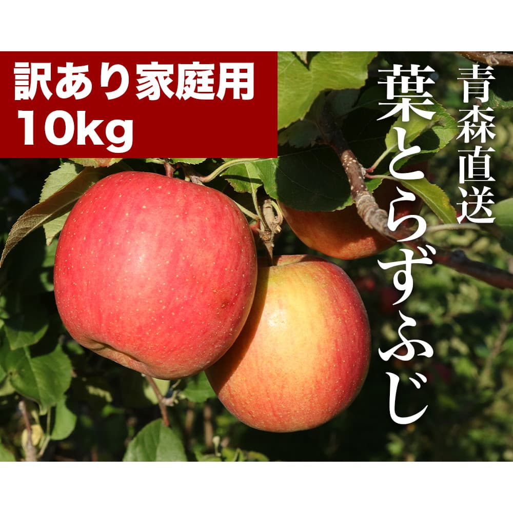  RED APPLE X 12{菇o tƂ炸ӂ 󂠂ƒp 10kg  ь ʕ t[c Mtg {