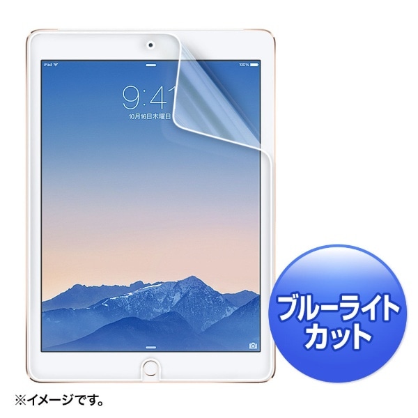 iPad Air 2p@u[CgJbgtیw䔽˖h~tB@LCD-IPAD6BCAR[LCDIPAD6BCAR]