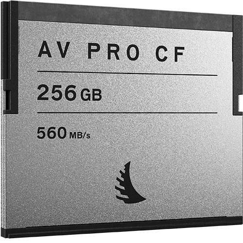 AVP256CF AV PRO CF 256 GB AVP256CF