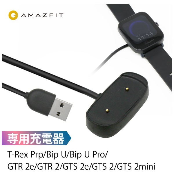 X}[gEHb`p }Olbg USB[d Bip3V[Y/GTR 2/GTS 2 AmazfitiA}YtBbgj ubN sp200005