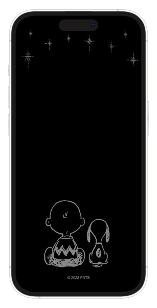 iPhone 14Pro s[ibc KXXN[veN^[  SNG-747C