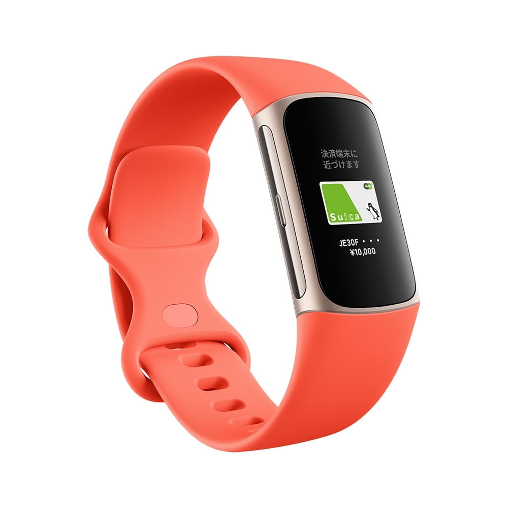 Fitbit Charge 6 gbJ[ R[ VpS[h tBbgrbg ő7Ԃ̃obe[Ct GPS X}[gEHb` SuicaΉ {Ki