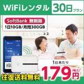 WiFi^ 30v Softbank (110GB/300GB)