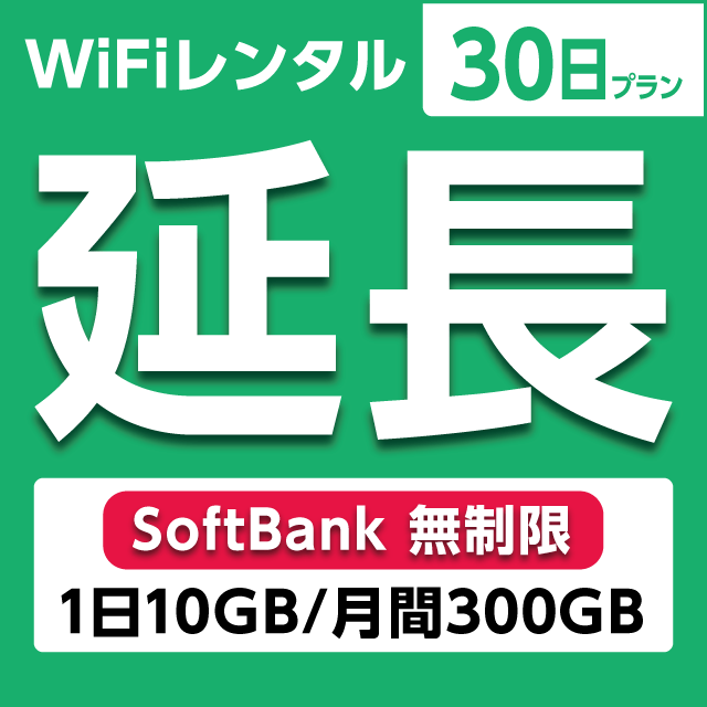 ypzWiFi^ 30v Softbank (110GB/300GB)